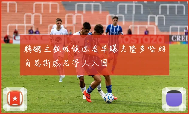 鹈鹕主教练候选名单曝光隆多哈姆肖恩斯威尼等人入围